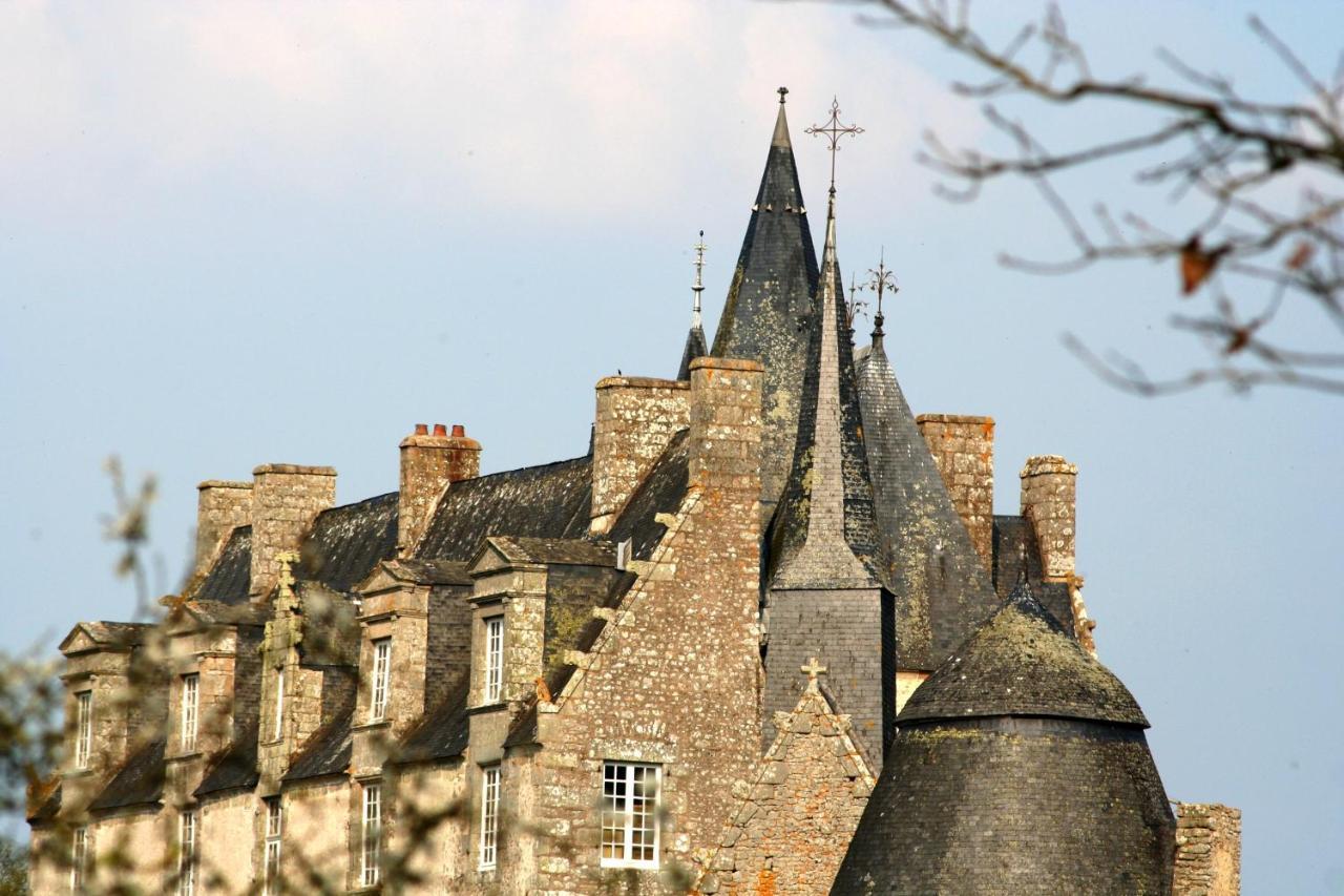 Chateau de Bourgon Montourtier Extérieur photo